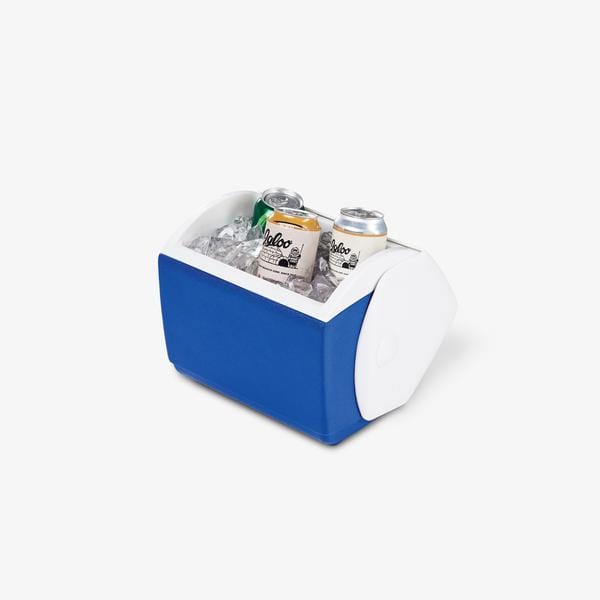 Igloo 7 sales quart cooler