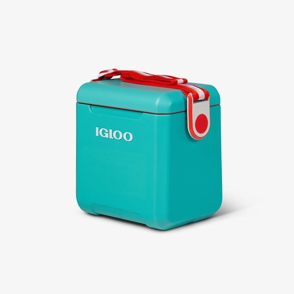 Igloo Cooler